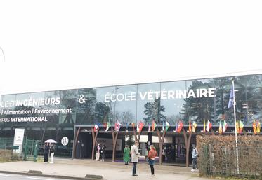 L'école vétérinaire d'UniLaSalle Rouen est la première créée au sein d'un établissement d'enseignement supérieur privé d'intérêt général sous contrat.