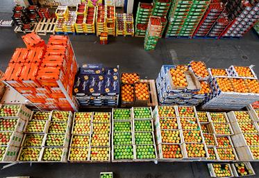 Dans l’entrepôt de fruits et légumes, ce sont 12 grossistes qui vendent en moyenne 380 tonnes par jour, dont 60 % de fruits et 40 % de légumes.