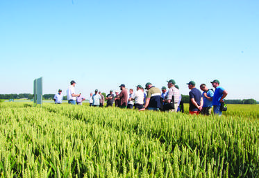 Entre 80 et 100 agriculteurs ont participé à la journée Optipro du 25 juin à Fauville-en-Caux.