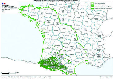 Situation de la MHE au 22 août 2024 et zone régulée.