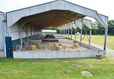 Avec ses 1 400 places à l’engraissement, la porcherie abrite quatre races de porcs : large white, landrace, piétrain et duroc.
