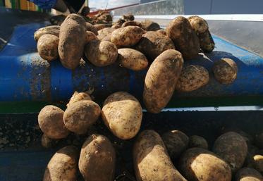 Pour 2030, il faudra produire 40 millions de tonnes supplémentaires en Europe.