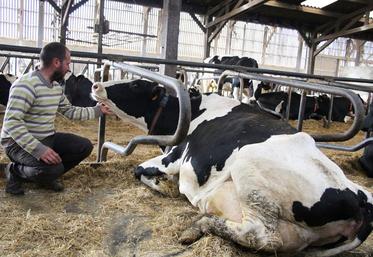 Selon Patrick Bénézit (FNSEA) : « Face à une tendance à la baisse de la production animale et à l'augmentation des importations, notre priorité est claire : stabiliser les effectifs et les volumes produits, permettre aux éleveurs de vivre dignement de leur métier. »