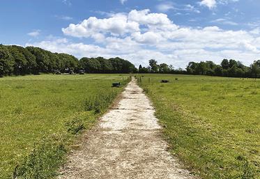Avec un chemin bétonné, la sortie des animaux quand le temps est pluvieux est moins problématique.