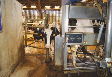 Deux robots DeLaval sont venus remplacer la salle de traite en 2 x 12. L’aide à l’investissement obtenue dans le cadre du Plan de compétitivité et d’adaptation des exploitations agricoles (PCAE) pour l’achat des robots, le coût de leur maintenance et la question sanitaire du troupeau ont été des éléments déterminants.