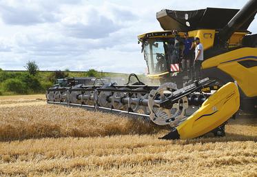 La CR11 promet de s’approcher des 0 % de pertes à la récolte.