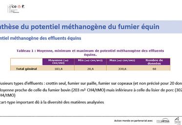 Le fumier équin possède un fort potentiel méthanogène, une ressource intéressante pour les méthaniseurs agricoles.