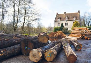 Unique en Normandie, le Lycée des métiers du bois et de l’éco-construction d’Envermeu propose une formation bac pro technicien de scierie.