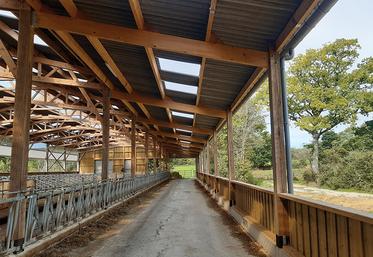 Disposer de larges ouvertures reste la meilleure solution pour gérer l’ambiance des bâtiments.