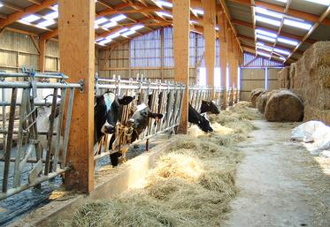 Une bonne ventilation du bâtiment permet d’éliminer les agents infectieux.