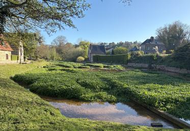 La cressonnière à reprendre est installée dans un cadre magnifique, au pied de la source de la Veules.