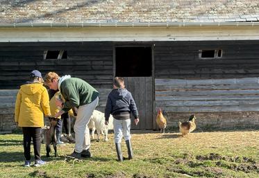 Les chèvres ont toujours beaucoup de succès.