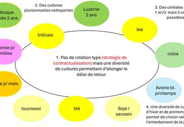 Exemple de nouvelles cultures et de nouvelles espèces dans la rotation, à l’image de ce que pratique Thomas Bourgeois.