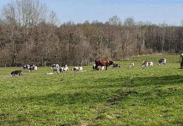 Tour de déprimage à Bellou-en-Houlme (61).