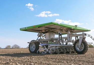 Le FarmDroid séduit notamment les planteurs de betteraves pour le semis et le désherbage.