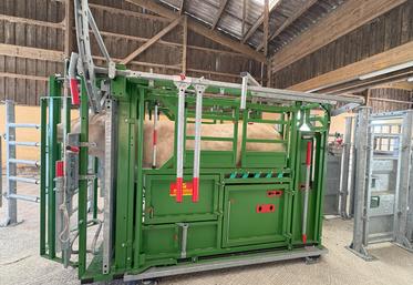 La pesée se fait à la naissance du veau, à 120 et 210 jours, au moment du tri au sevrage et à chaque intervention sanitaire.