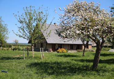 "Le Pressoir", le premier gîte ouvert par la famille Levavasseur (location uniquement de l'étage) se situe au cœur de l'exploitation.