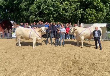 À gauche, Paul Blondel avec sa vache ; à droite, la famille Gomel accompagnée de leur taureau. En arrière-plan, l'ensemble des éleveurs participants.