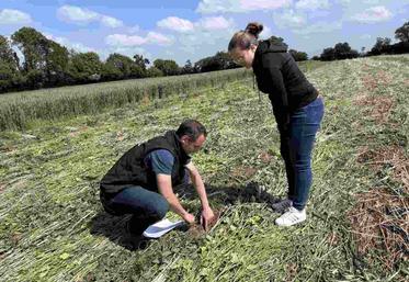 Gabriele Fortino, référent des systèmes de cultures, et Marie Plessy, directrice de la Blanche Maison, suivent les différents essais que les visiteurs pourront découvrir lors des Prairiales 2025.