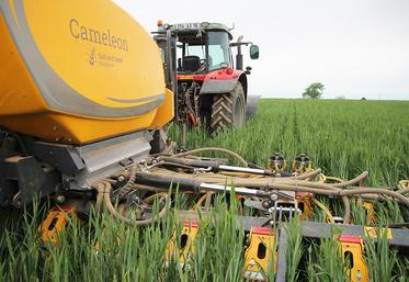 Le Caméléon pourrait apporter des réponses intéressantes en termes de désherbage mécanique. 