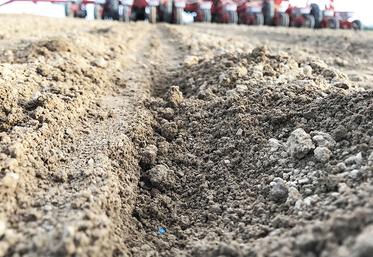 Quel que soit le semoir choisi, « le juge de paix est la régularité de levée de la culture ». Il faut donc connaître son sol, et régler son semoir en conséquence.