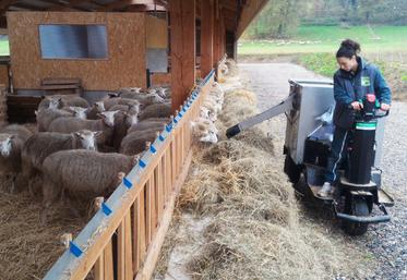 Les charges de mécanisation occupent une place de plus en plus importante dans le revenu des éleveurs ovins.