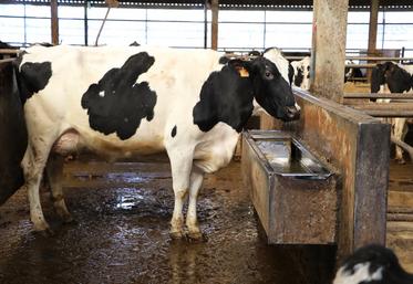 L'eau doit être de qualité, exempte de contaminants, pour éviter divers problèmes de santé.