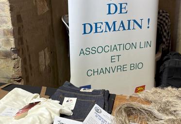 Selon Julia Faure, « il y a intérêt à remonter une filière de transformation du lin en France, économiquement, écologiquement mais également parce que cela pourrait être le vrai socle d'une réindustrialisation générale du textile en France ».