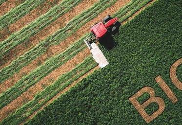 En tout état de cause, les experts souhaitent que les politiques publiques favorisent le maintien de l'AB.