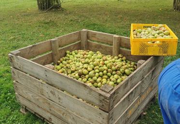 Les boissons alcoolisées distillées, principalement le calvados, représentent le principal poste en valeur.