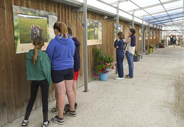 L'exposition Terre des Hommes, accessible et gratuite jusqu'à la fin de l'année chez Argentain Plants à Octeville-sur-Mer.