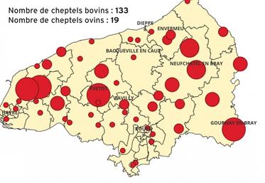 Répartition des 152 cas positifs de FCO-3 en Seine-Maritime au 28 août.