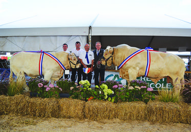 Prix d’honneur mâles juniors. Visiteur (à gauche) du Gaec de La Mare aux Ifs.
