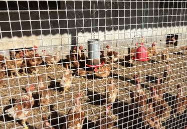 La vigilance doit être permanente toute l’année mais nous entrons dans la période à risque.