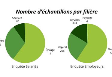 Nombre d’échantillons par filière.