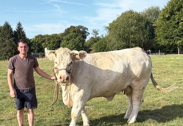 Sébastien Quibeuf : « Le Copil a voulu un pôle animal aux Terres de Jim. c’est très bien car même si l’élevage diminue dans notre département, nous avons encore des troupeaux de grande qualité ». Sébastien Quibeuf avec Turquoise, vache de quatre ans qui a participé à la grande finale en novembre dernier.