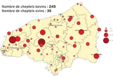Répartition des 280 cas positifs de FCO-3 en Seine-Maritime.