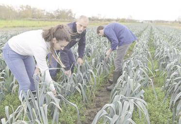 Ouvrir les portes de votre exploitation à un stagiaire ou un apprenti, c'est bien plus qu'un simple geste de transmission. C'est un véritable investissement pour l'avenir, aussi bien pour vous que pour le secteur agricole.