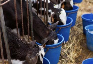 L'élevage bovin français subit ces dernières années de nombreuses crises sanitaires qui s'enchaînent et s'accumulent, mettant en péril la souveraineté alimentaire de notre pays. 