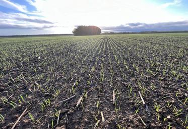 Jeunes agriculteurs souhaite rénover l'indice du fermage face au changement climatique en le territorialisant.