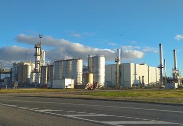 Sur la zone industrialo-portuaire de Port-Jérôme-sur-Seine, Tereos transforme déjà 800 000 tonnes de blé, notamment en éthanol.