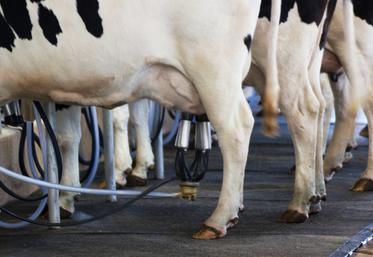 Les producteurs réclament l'application de la loi Egalim pour obtenir un prix du lait couvrant leurs coûts de production et dénoncent l'écart avec l'Allemagne.
