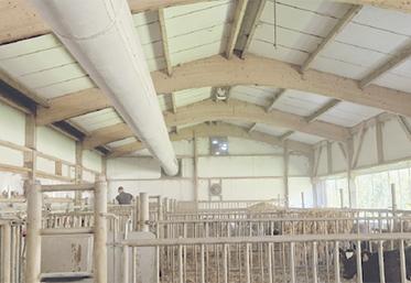 L'air frais est soufflé depuis le plafond pour chasser l'air vicié vers l'extérieur du bâtiment.