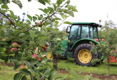 La production globale française s'élève (2022-2024) à 82 millions de litres.