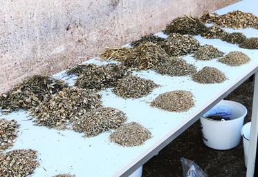 L’analyse des fourrages est nécessaire pour bien identifier la composition, la digestibilité et les valeurs alimentaires.