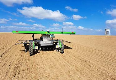En 2026, la Chambre de la Somme veut notamment affiner la technique du semis de haricots verts en poquets par le FD20 de Farmdroïd, qui permet de biner sur le rang. 