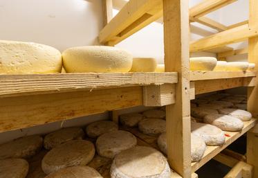 Une cave à fromages bien conçue tant sur le plan organisationnel que sanitaire.