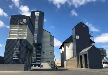 Le groupe Noriap collecte en moyenne 1,4 million de tonnes de céréales, oléoprotéagineux et pommes de terre sur les Hauts-de-France et en Seine-Maritime.
