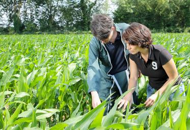 "Être conjoint(e) sur une ferme, ce n'est pas juste donner un coup de main, c'est un vrai engagement". 