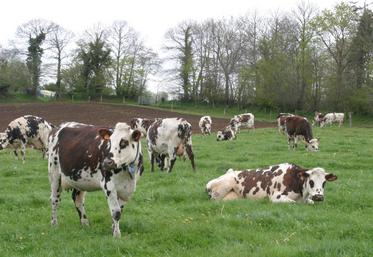 Le retournement de prairies permanentes est toujours soumis à l'avis des bassins-versants en Normandie.